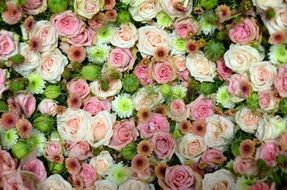 Bl&uuml;tenmeer Pink Rose Romantic