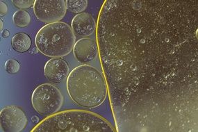 oil circles on liquids of different sizes