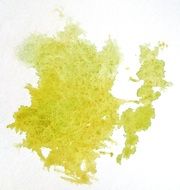 yellow watercolor blot