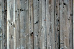 Background Wood Wall Larch