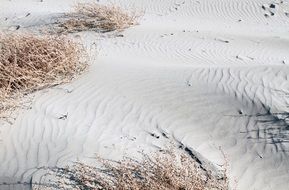 Beach Sand Seascape Sand Dunes