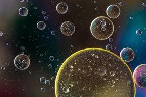 oil circles on dark liquid