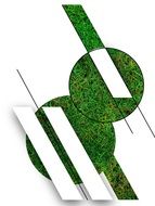 designer lawn image