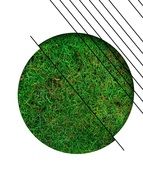 geometric design with the image of the grass