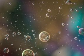small oil circles on the liquid