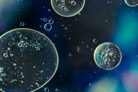 small and large oil circles on the liquid