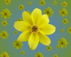 background with yellow flowers