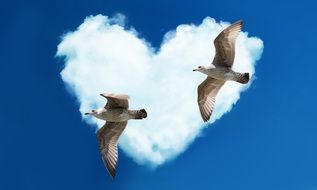 Gulls Heart Love Clouds