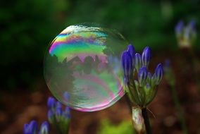 Soap Bubble Bubble Ball Float
