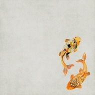 Background Koi Fish Scrapbook