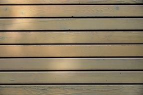 Texture Boards Wood