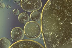 oil circles in water