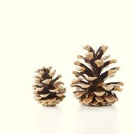 cones on a white background