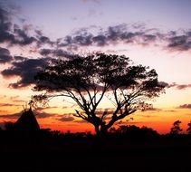 peaceful sunset in countryside