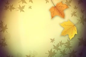 Autumn Leaves Fall Color