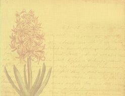 old fashioned background