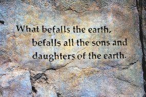Befall The Earth Quote Rock Wall