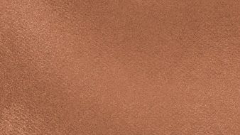 Paper Texture Invoiced Color