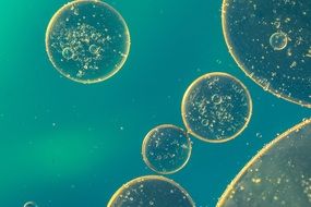 oily spots in blue water