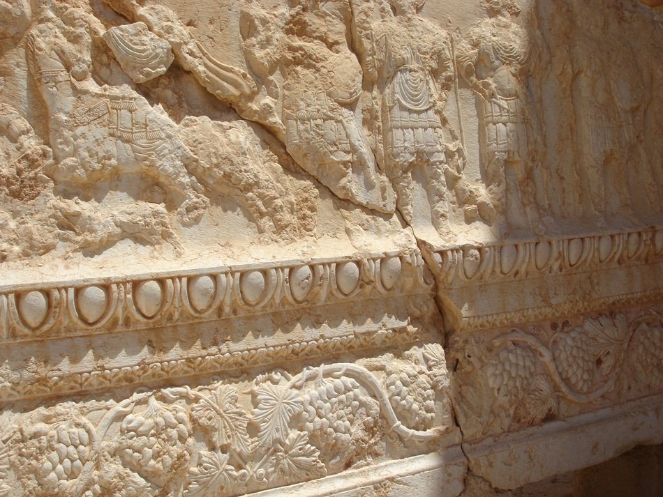 Palmyra Desert details