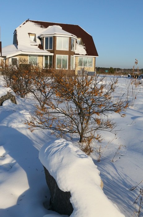 beautiful house among the winter landscape