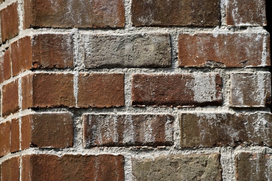 corner of the brick wall