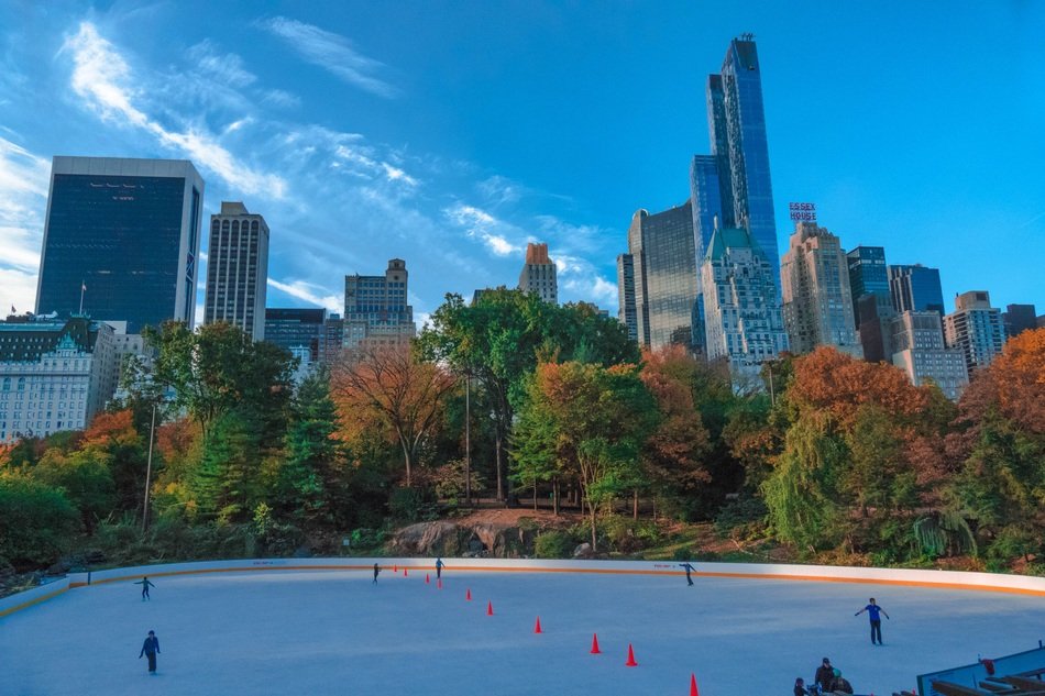 autumn trees near skyscrapers in canada
