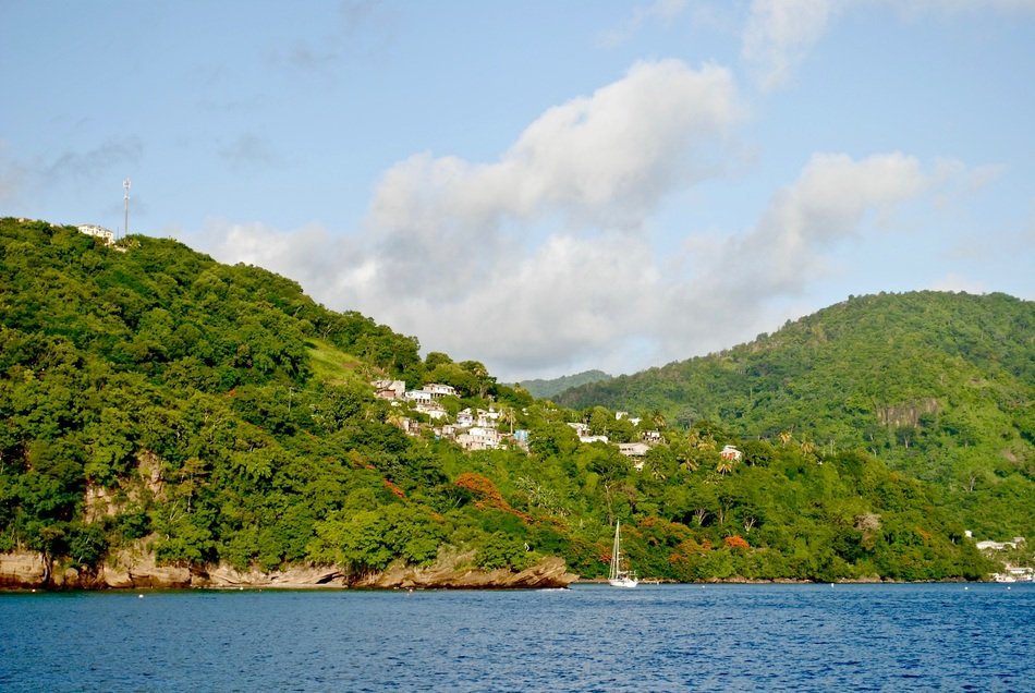 green hills near the caribbean