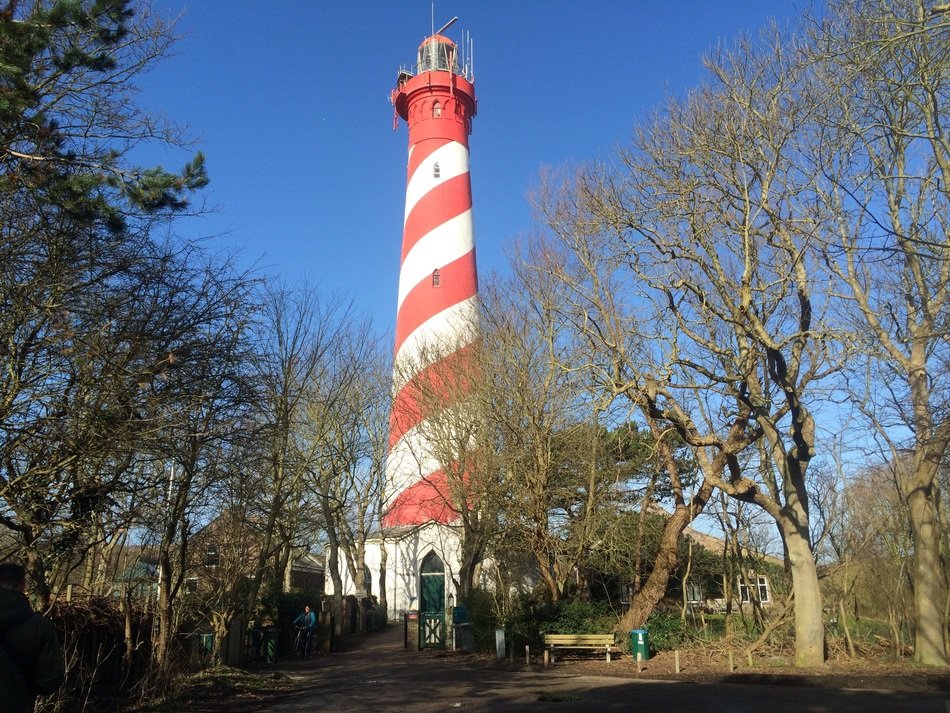 autumn trees on the background of a striped lighthouse