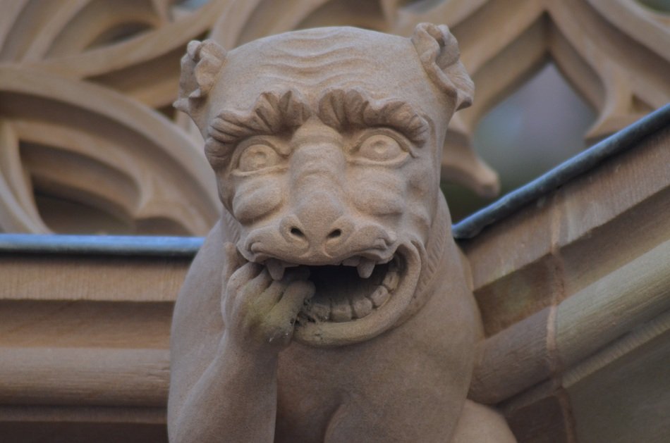 Gargoyle on the cathedral of Strasbourg