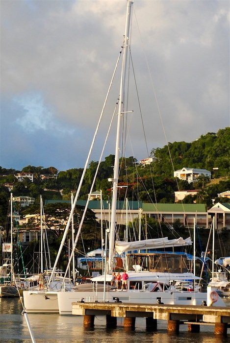 catamarans and boats on the water