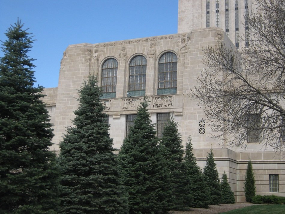 Christmas trees near the government building