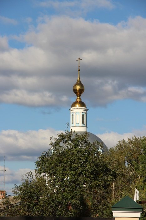 the dome of the church behind the trees