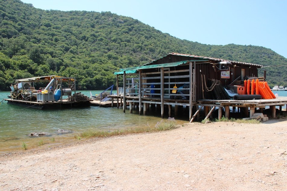 Oyster shack in Croatia