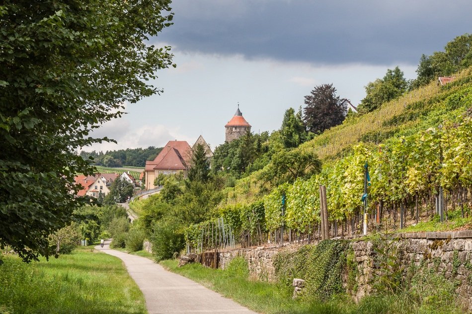 Beautiful vineyard of Besigheim