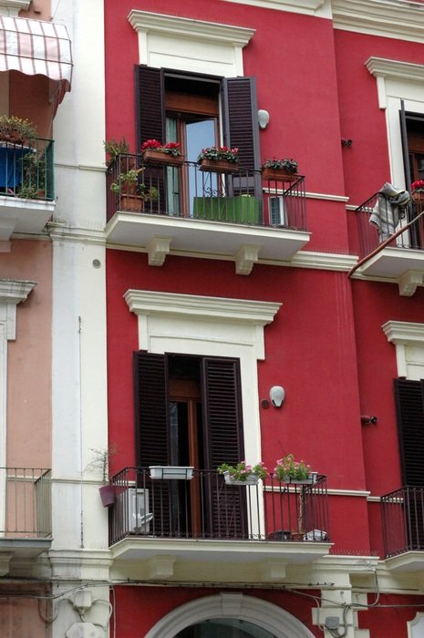 the architecture of red house