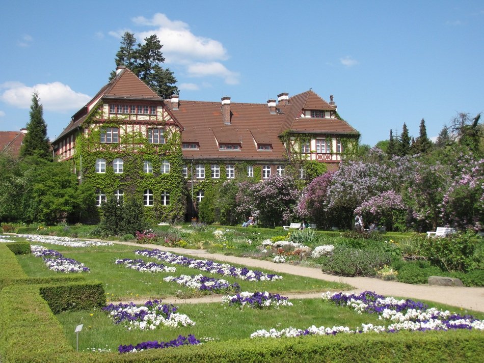 botanical garden in front of a big house