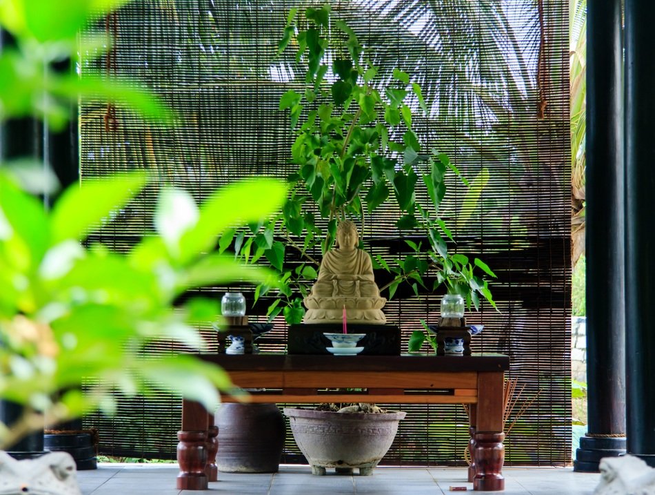 green bonsai and incense on a low table in a meditation room