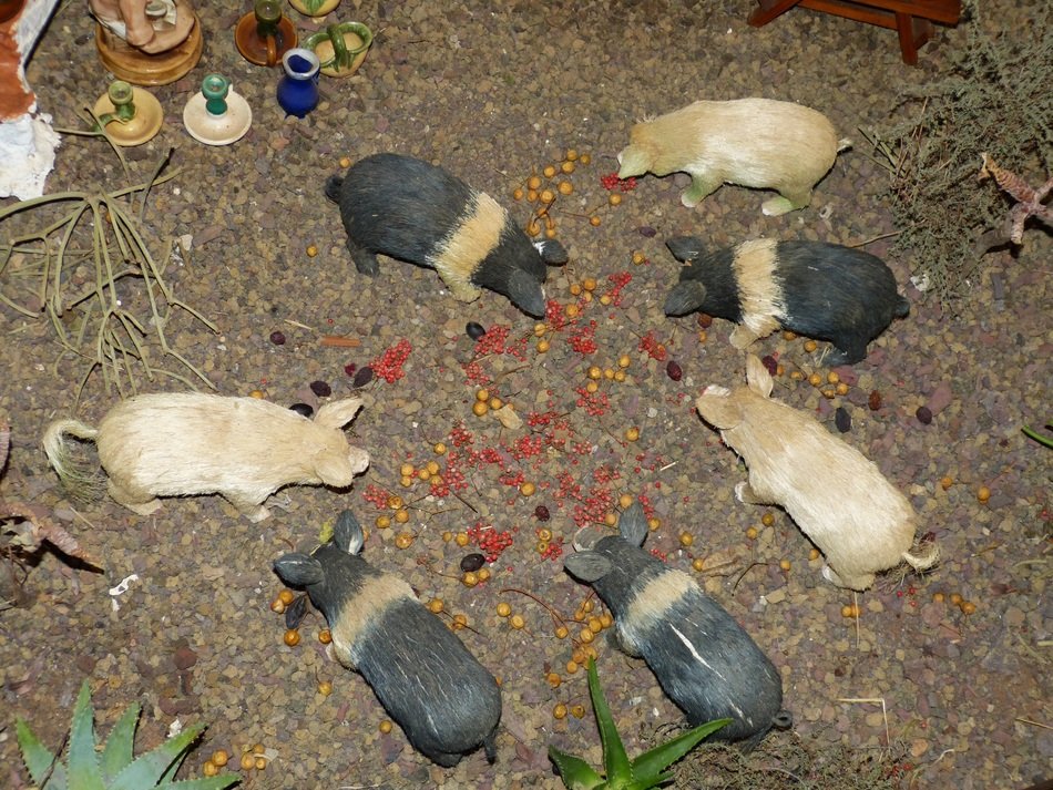 mini figures of pigs demonstrating mediterranean lifestyle