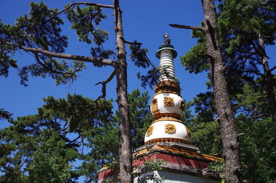ancient buddhist architecture in the forest