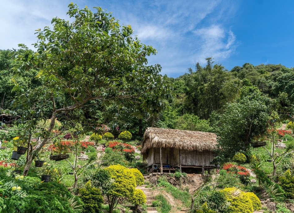 Hillside Cabin in Chiang Mai, Thailand