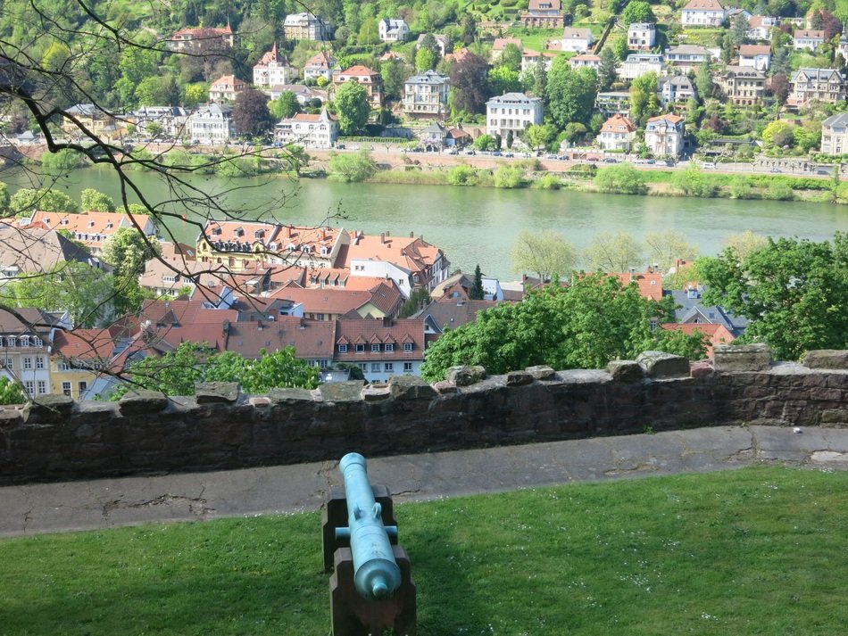 cannon on the roof of the castle with landscape with the buildings