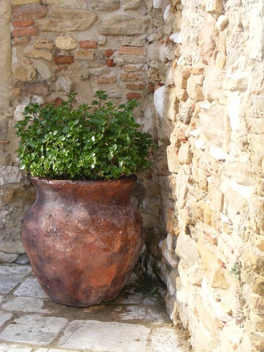 large flower pot near a stone wall