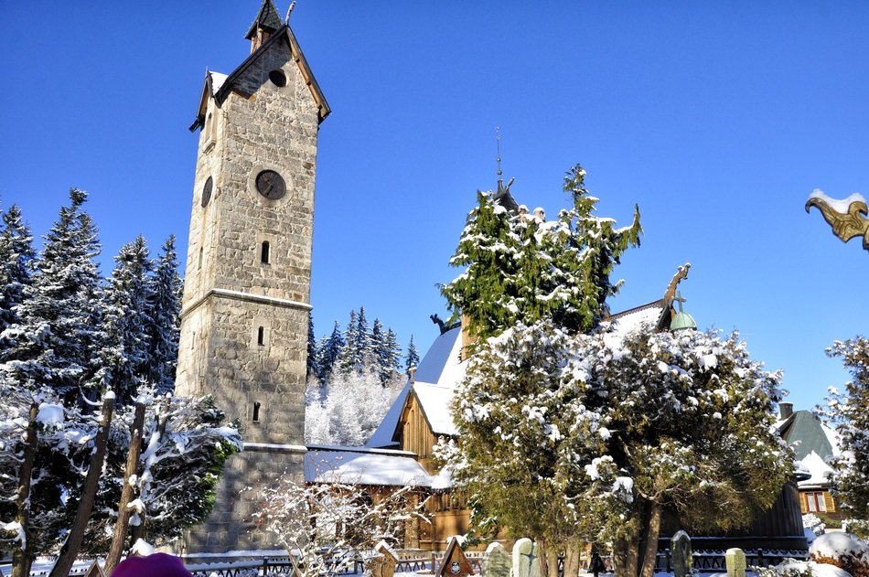 trees in the snow near the church