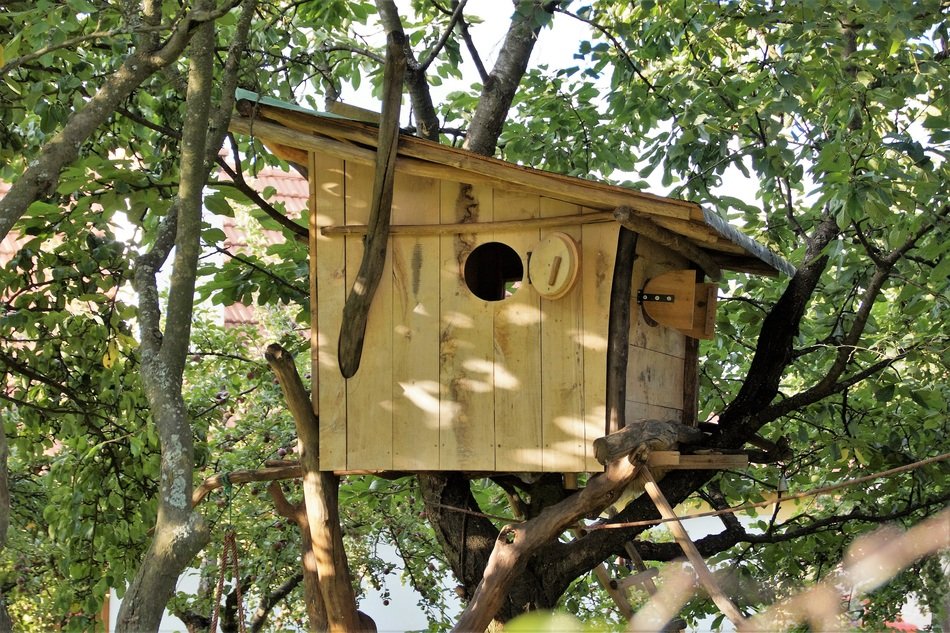 strikingly beautiful Tree House