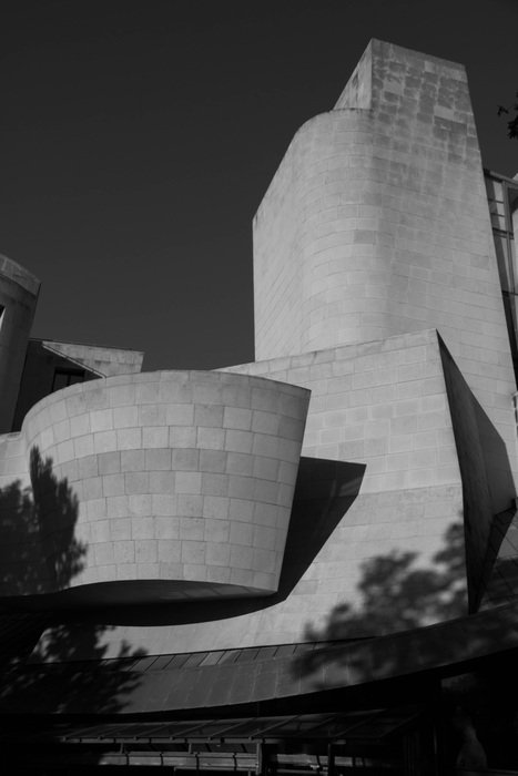 cinema of the architect gehry