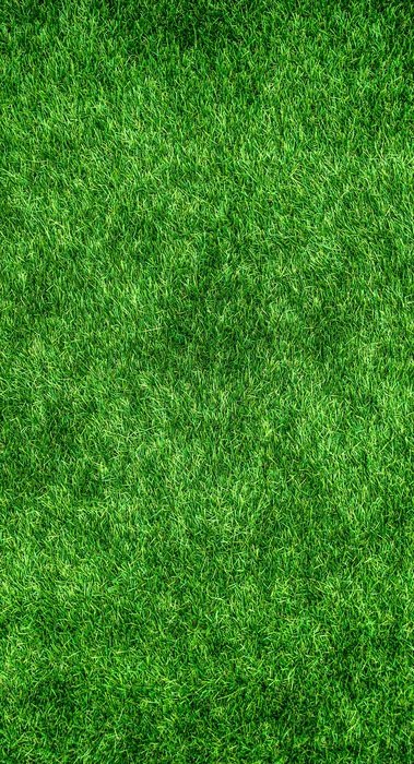 Nature Green Abstract Plants