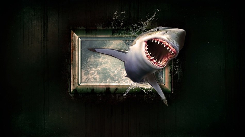Shark Wallpaper Water Sea