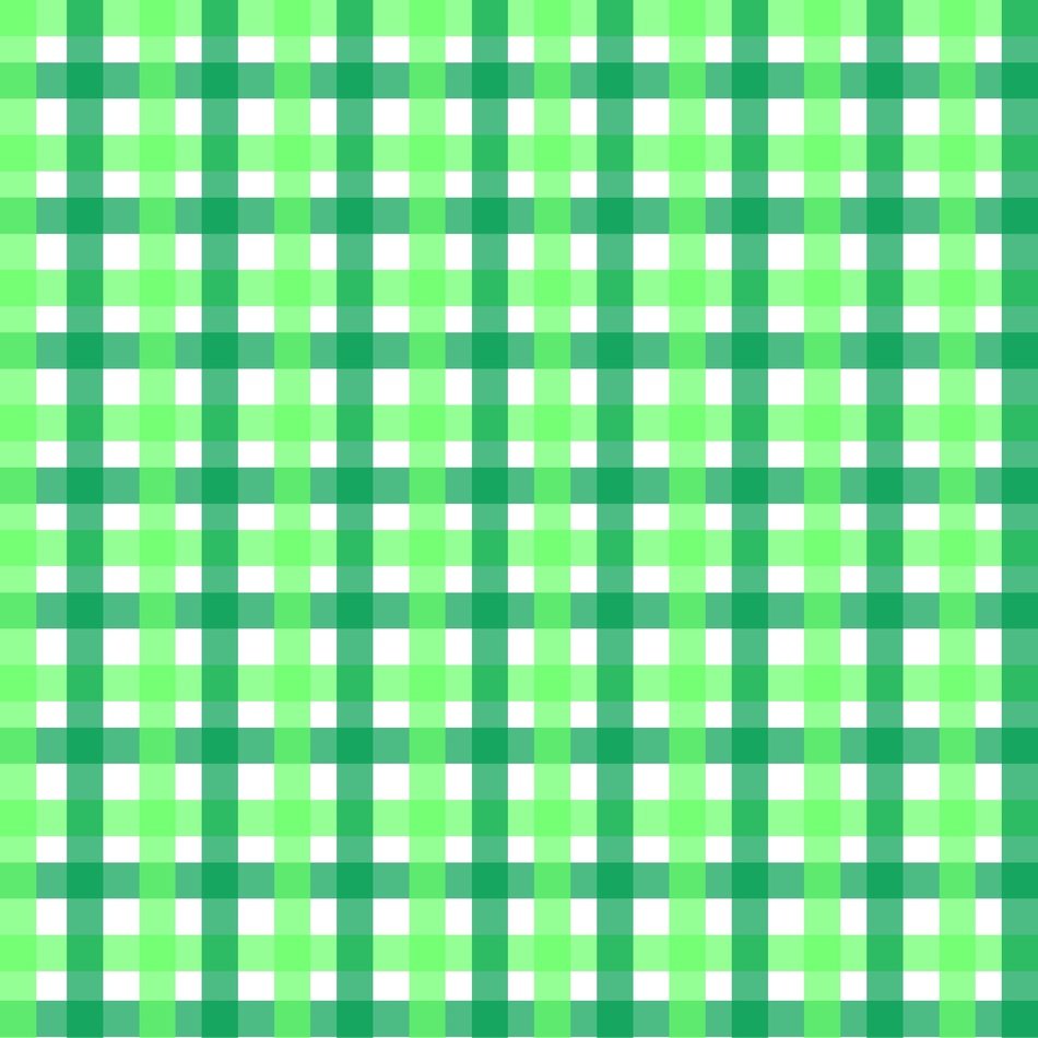 Gingham Geometric Two Tone Green