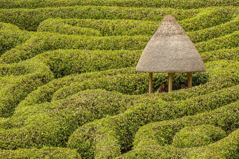 Maze Glendurgan Hedge Hut
